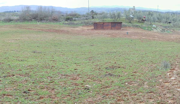 Box per cavalli e magazzino
Terreno in loc. la Chiocciola